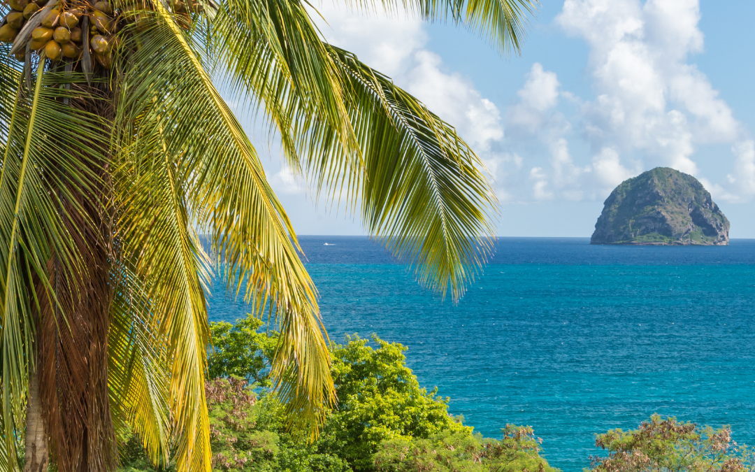 Guide de voyage en Martinique : conseils et recommandations pour une expérience inoubliable