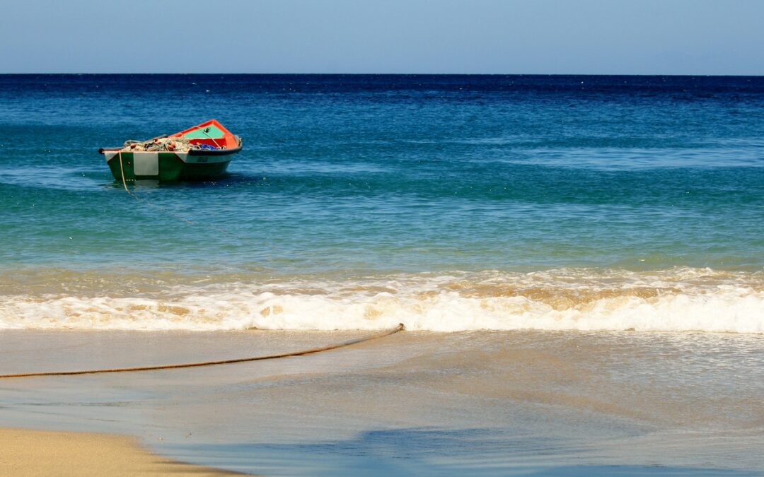 La faune et la flore en Martinique : le guide des meilleurs spots