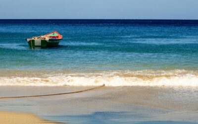 La faune et la flore en Martinique : le guide des meilleurs spots